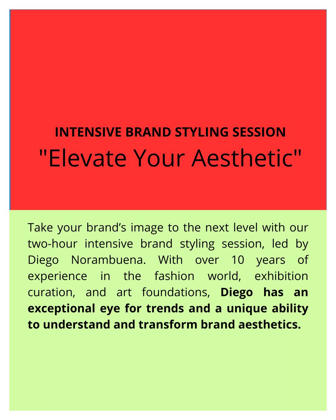 Intensive Brand Styling Session:   "Elevate Your Aesthetic"
