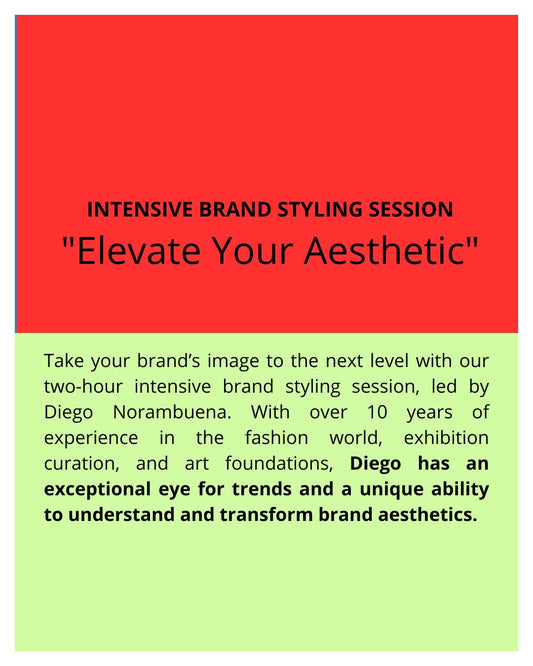Intensive Brand Styling Session:   "Elevate Your Aesthetic"