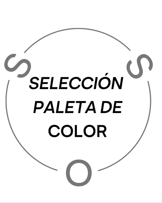 SELECCIÓN DE PALETA DE COLOR